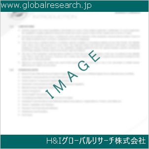 グローバルリサーチ調査資料のイメージ